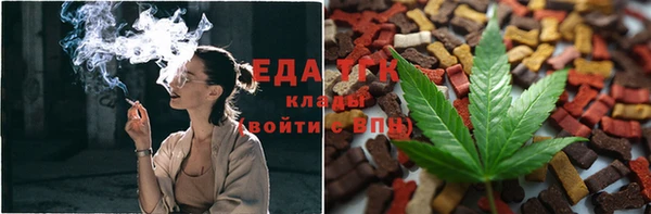 сатива Осинники