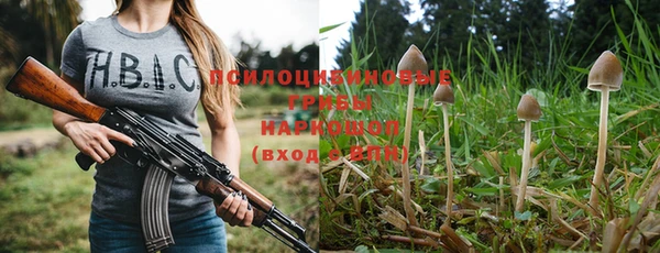 кокс Осташков