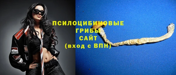 сатива Осинники