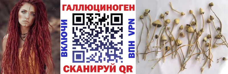 Галлюциногенные грибы ЛСД  Покров 